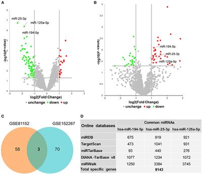 MicroRNA–Messenger RNA Regulatory Network Mediates Disrupted TH17 Cell Differentiation in Depression